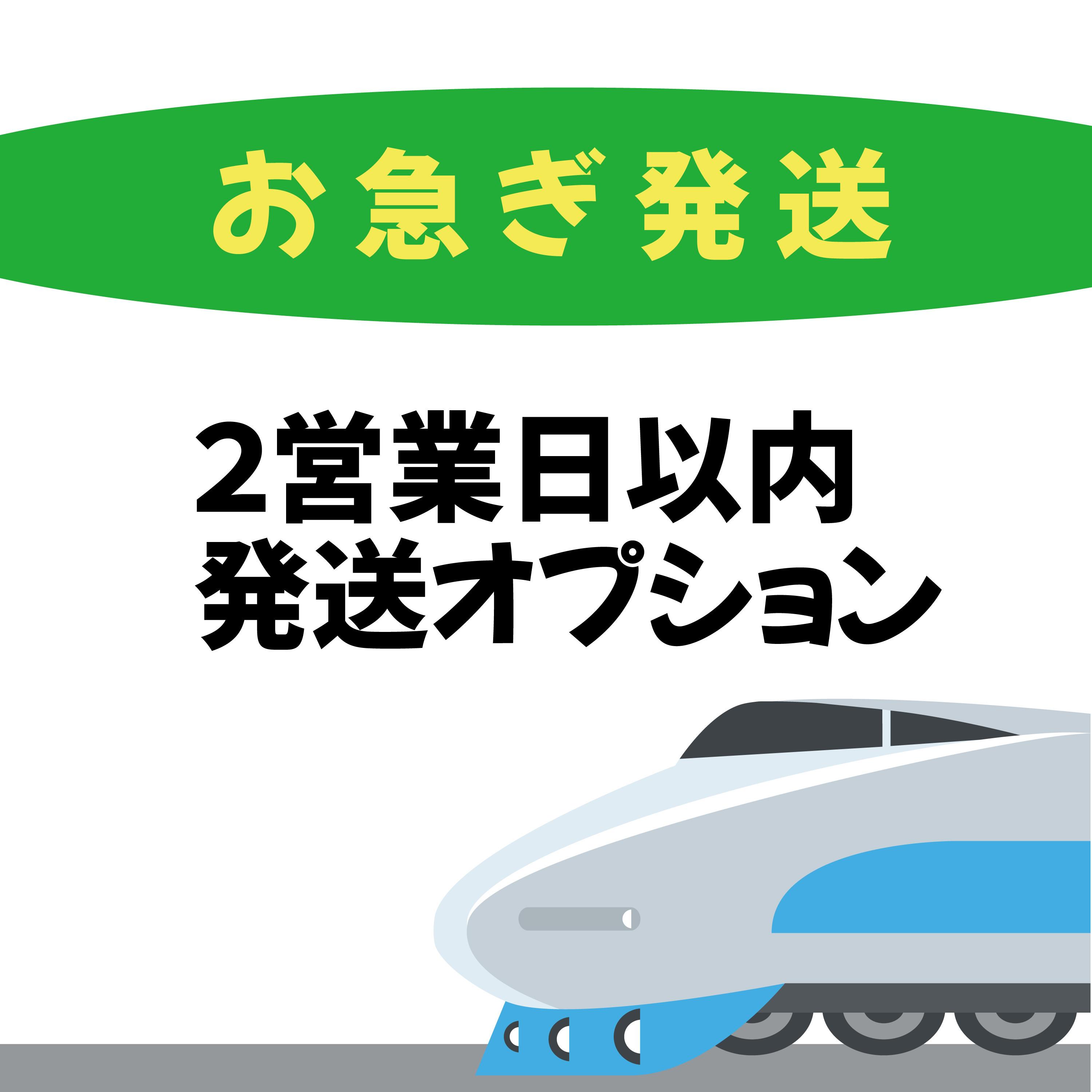 大型ウィングトラックお急ぎ発送（データ確定後、２営業日以内に発送）追加購入用1枚目の画像